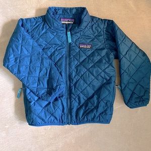 Patagonia Nano Puff Jacket 2T